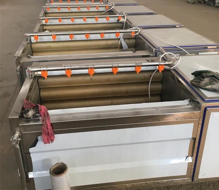 automatic vegetable fruit washing machine