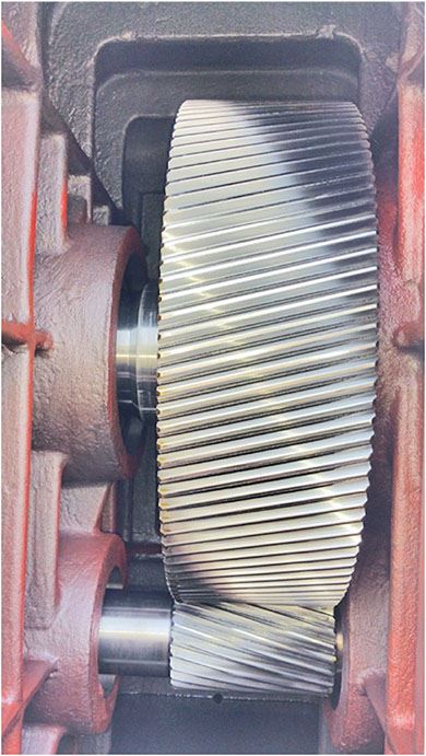 gear box for feed pellet making machine